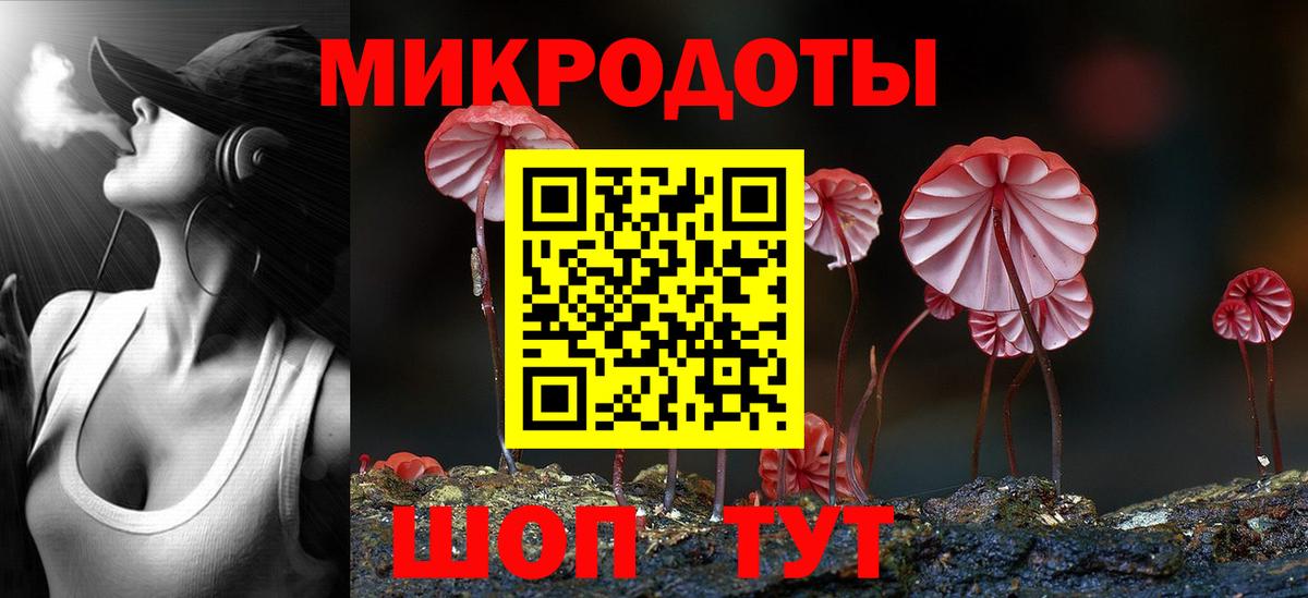 Сухой Лог  Псилоцибиновые грибы Psilocybe  Вход с VPN 